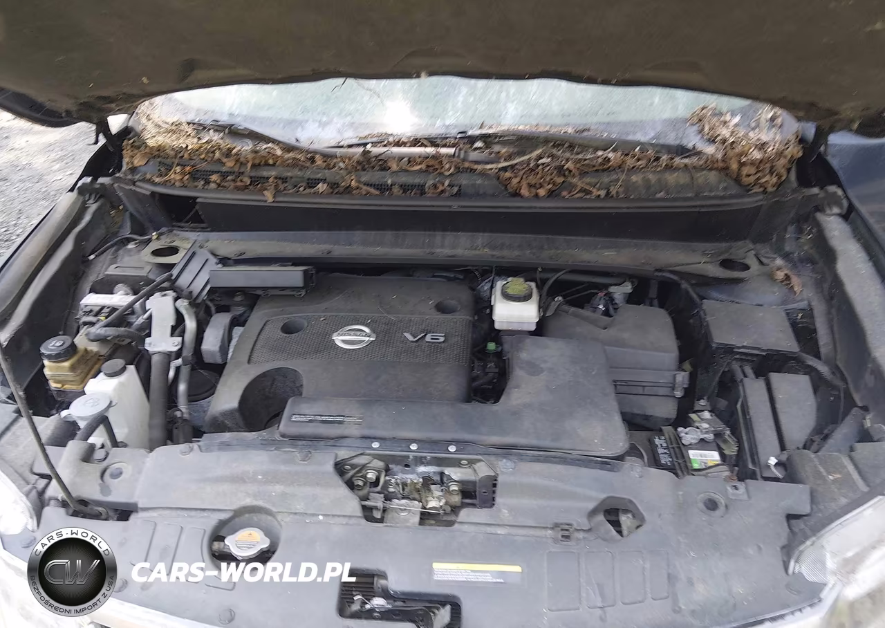 2013 Nissan Pathfinder Platinum VIN:5N1AR2MM9DC638797 - 10