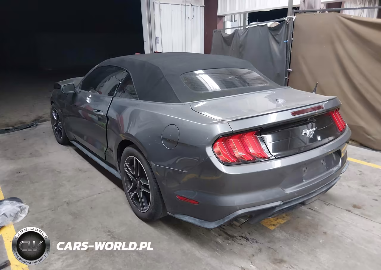 2021 Ford Mustang Ecoboost -Ecoboost Premium VIN:1FATP8UH7M5113451 - 3