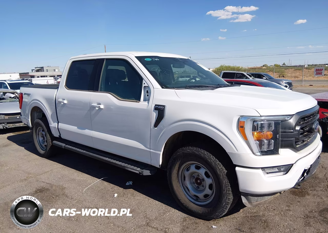 2023 Ford F-150 King Ranch-Lariat-Platinum-Tremor-Xl-Xlt VIN:1FTFW1E5XPFA91689 - 13