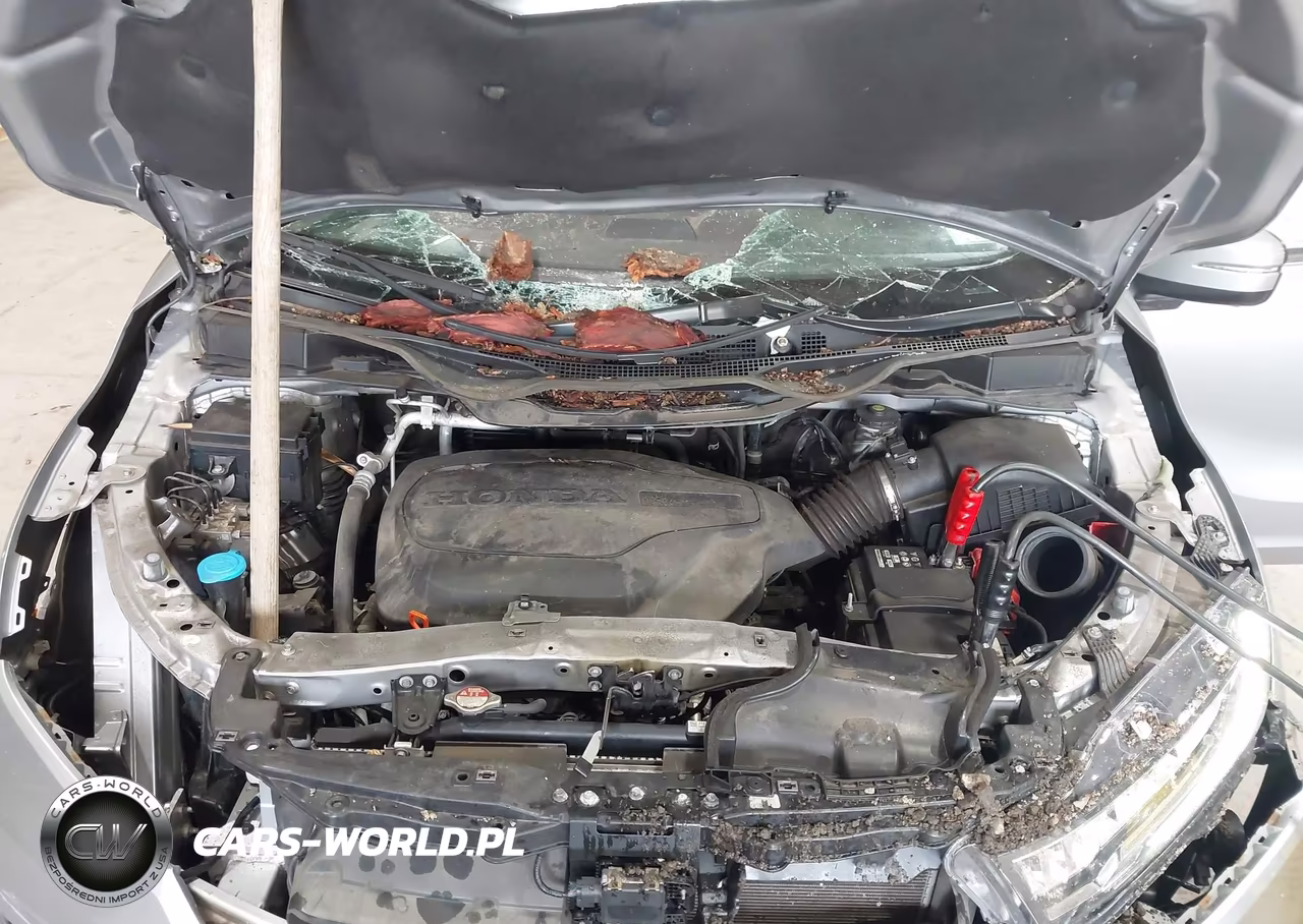 2021 Honda Odyssey Ex-L VIN:5FNRL6H7XMB016216 - 10