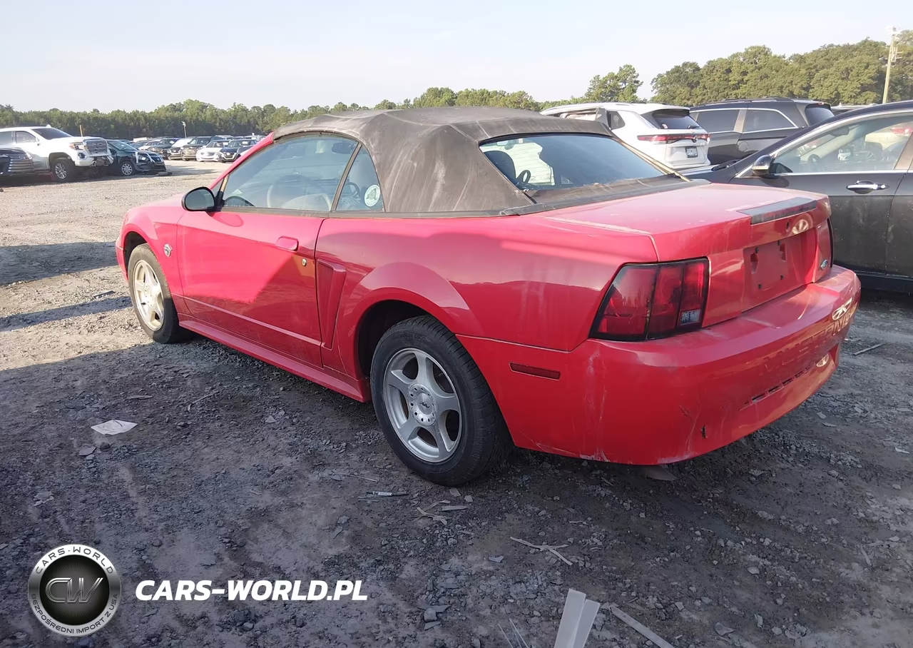 2004 Ford Mustang VIN:1FAFP44654F217791 - 3
