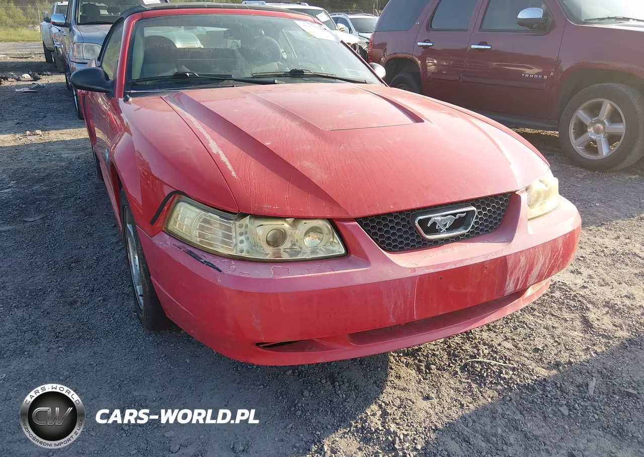 2004 Ford Mustang VIN:1FAFP44654F217791 - 6