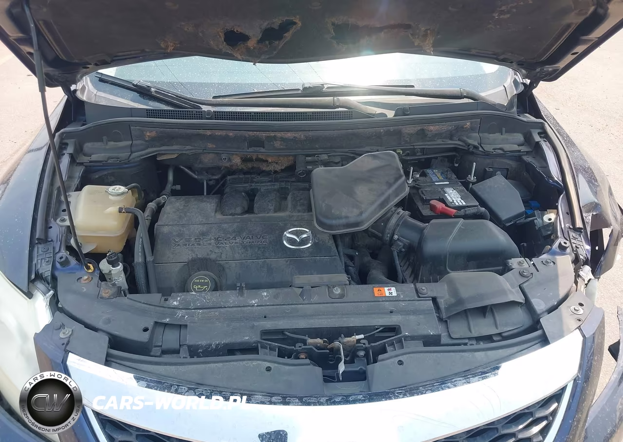 2011 Mazda Cx-9 Grand Touring VIN:JM3TB3DV9B0325030 - 10