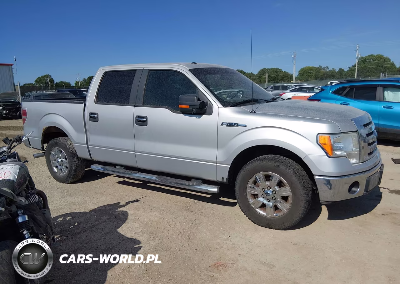 2009 Ford F-150 King Ranch-Lariat-Platinum-Xl-Xlt VIN:1FTPW12V49KC61015 - 13
