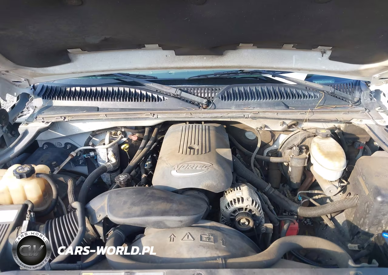 2004 Chevrolet Silverado 1500 Ls VIN:2GCEC19V441100646 - 10