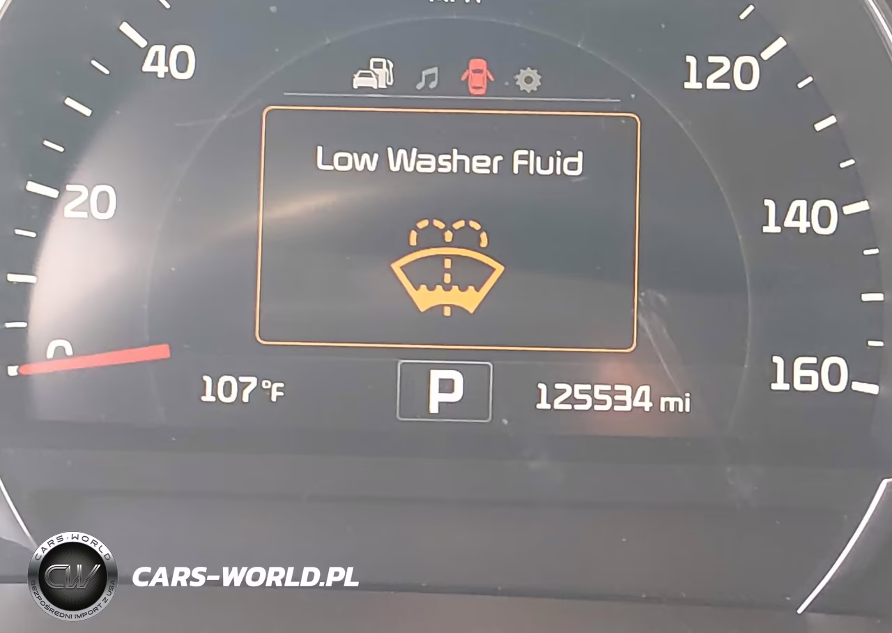 2016 Kia Sorento 3.3L Ex VIN:5XYPHDA58GG162004 - 15