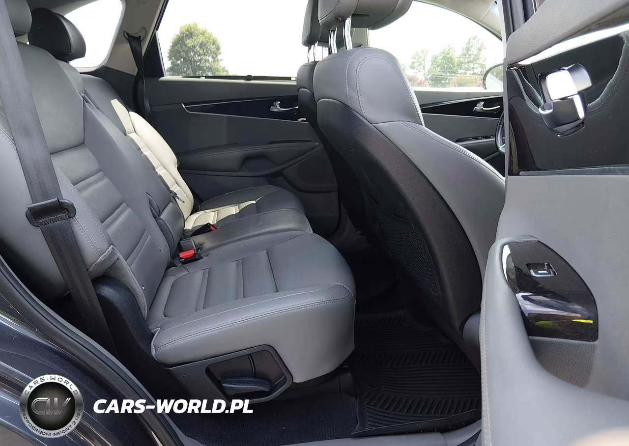 2016 Kia Sorento 3.3L Ex VIN:5XYPHDA58GG162004 - 8