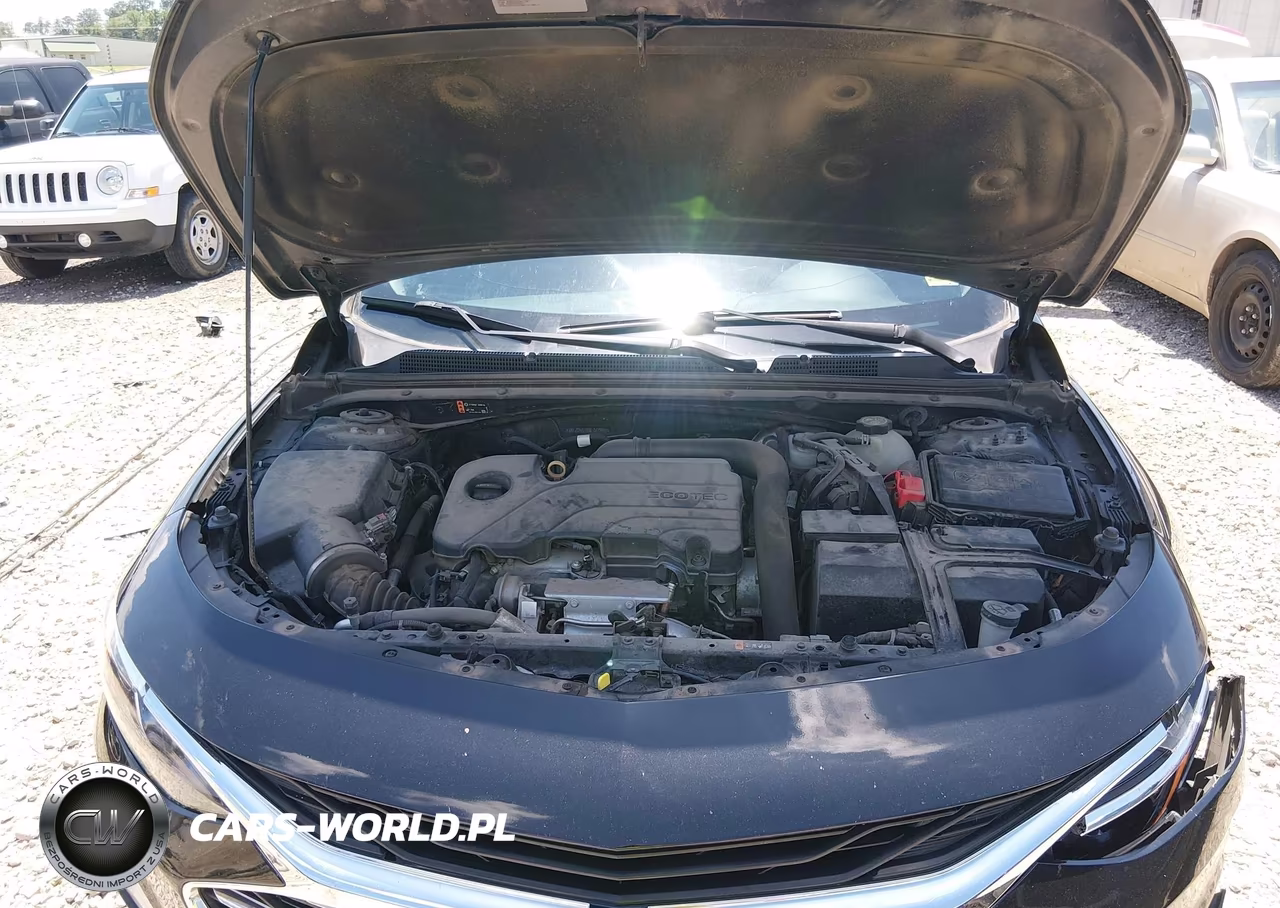 2021 Chevrolet Malibu Fwd Lt VIN:1G1ZD5ST6MF077466 - 10