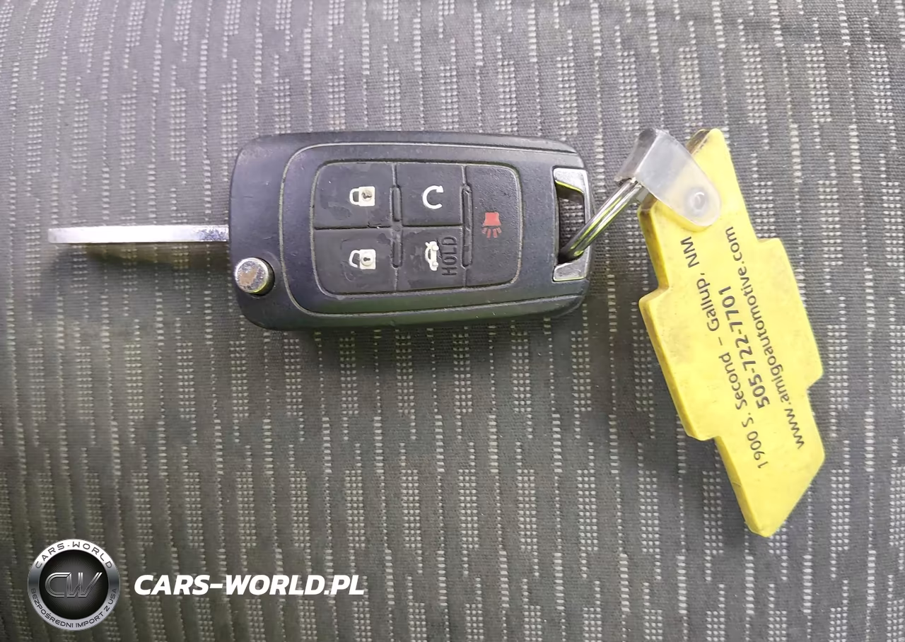 CHEVROLET CAPRICE PO VIN:6G3NS5U29GL207961 - 11