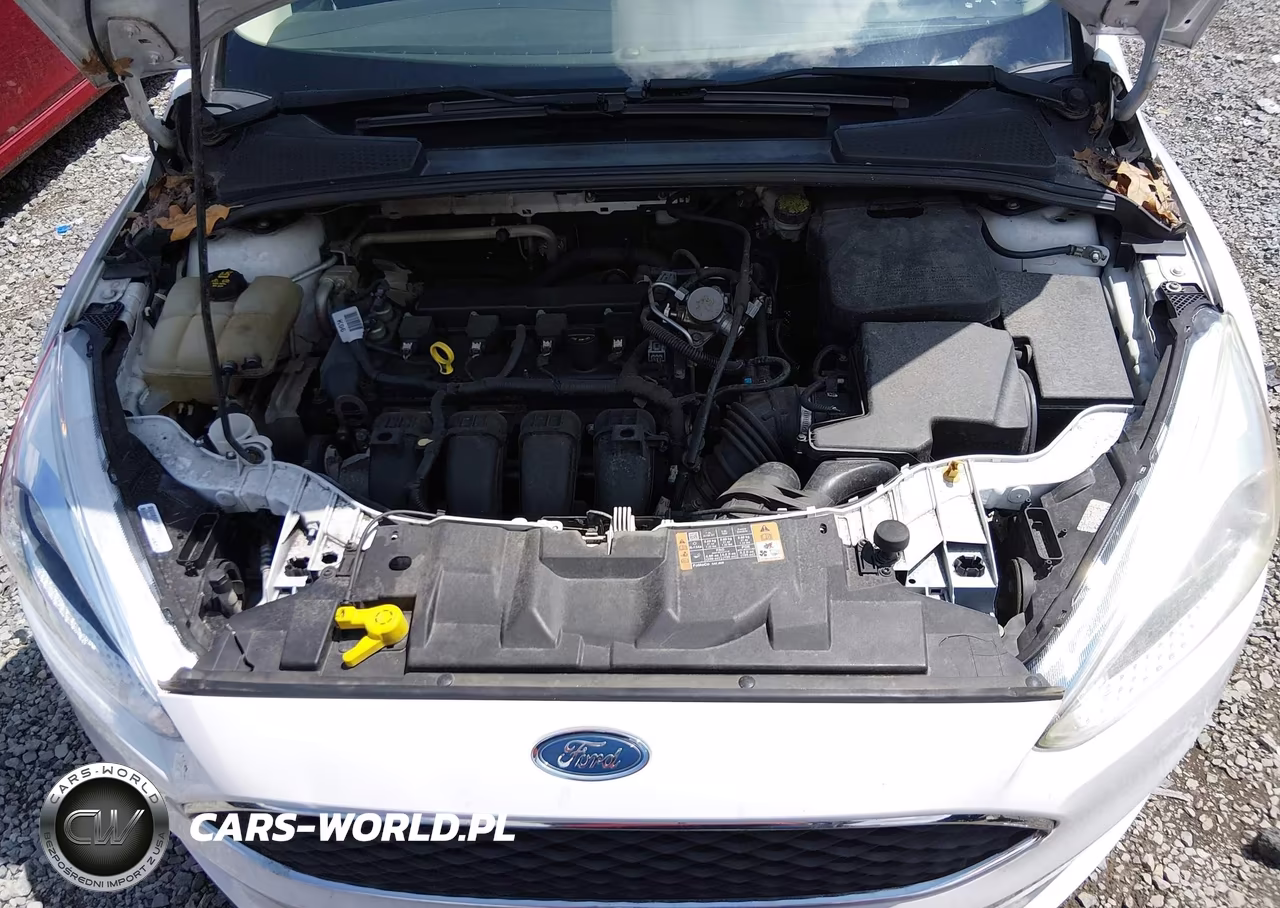 2016 Ford Focus Se VIN:1FADP3K27GL348065 - 10