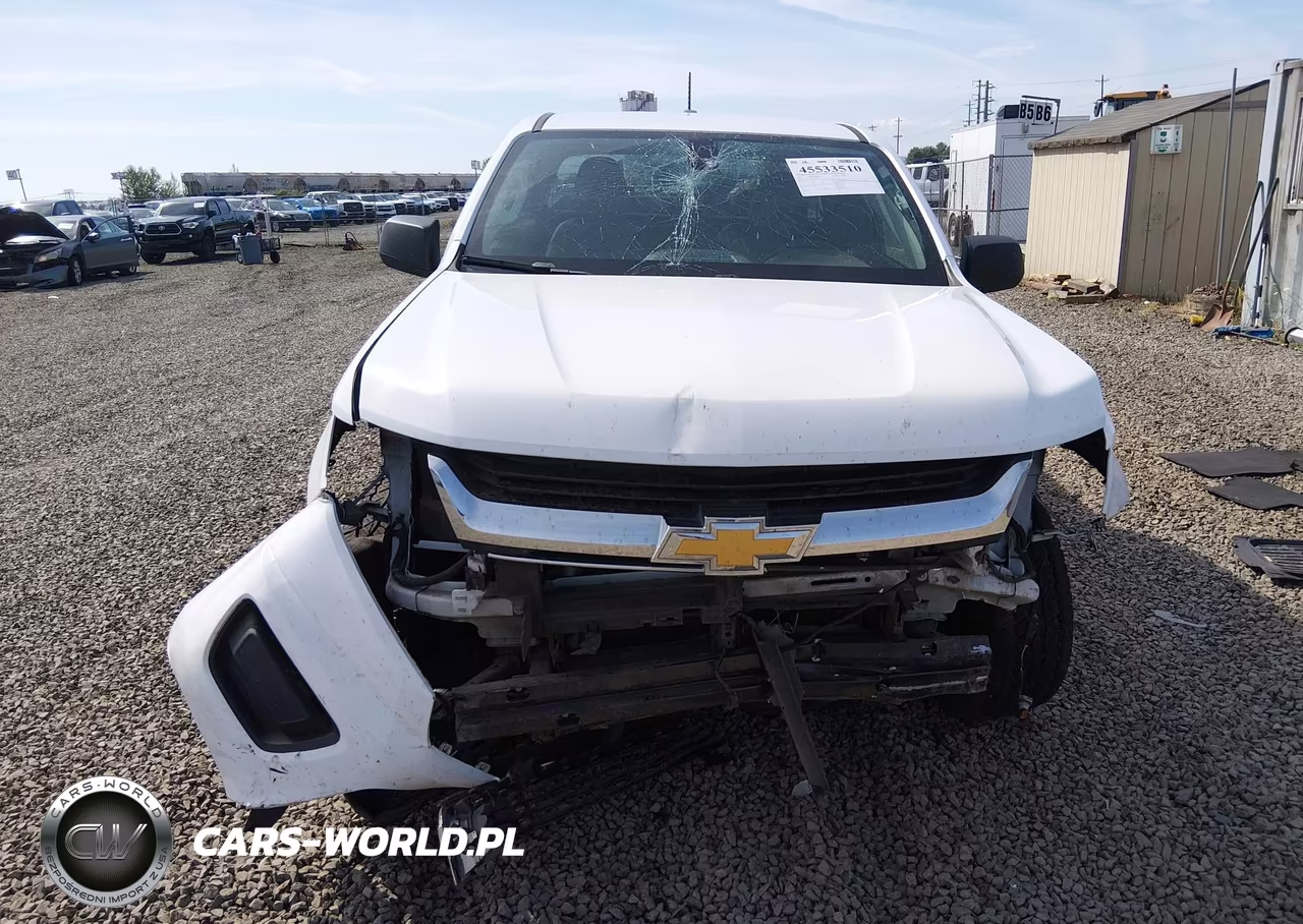 2015 Chevrolet Colorado 2Wd Wt VIN:1GCHSAEA4F1173513 - 13