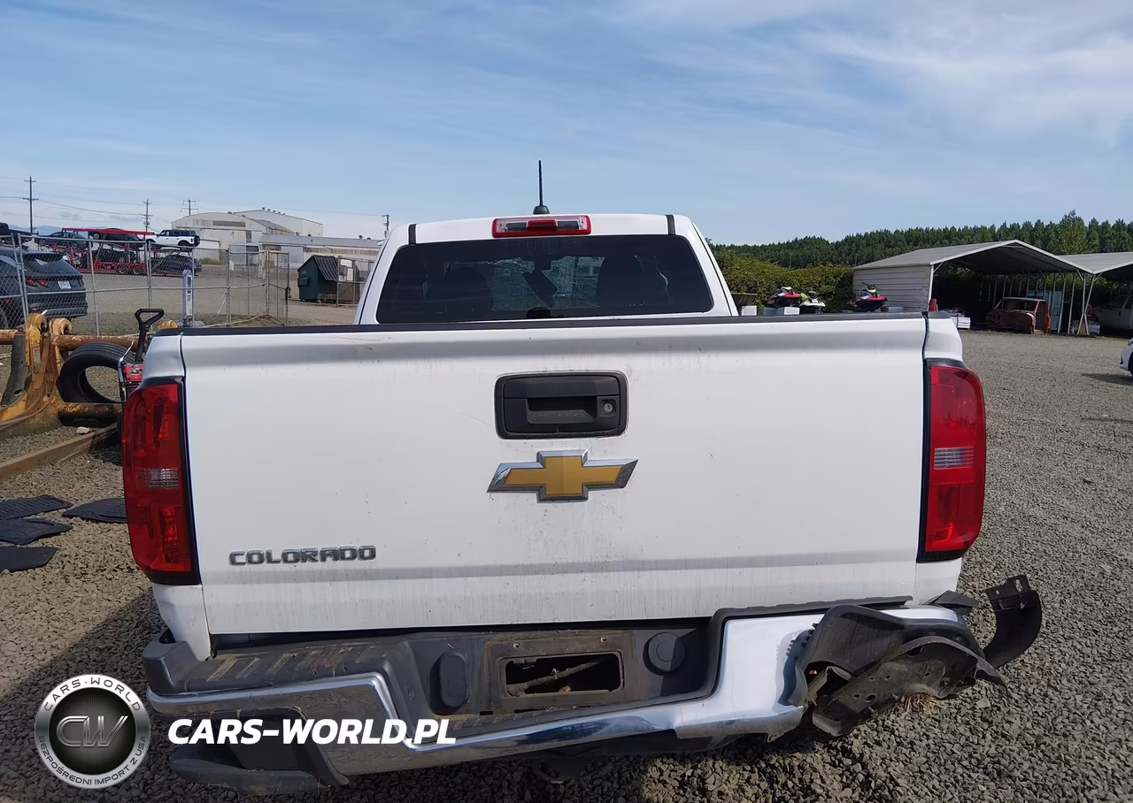 2015 Chevrolet Colorado 2Wd Wt VIN:1GCHSAEA4F1173513 - 17