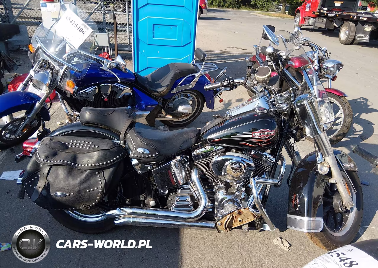 2006 Harley-Davidson Flstci VIN:1HD1BWB186Y010274 - 11