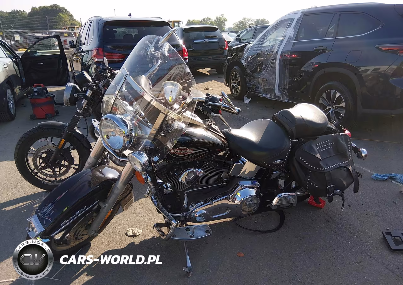 2006 Harley-Davidson Flstci VIN:1HD1BWB186Y010274 - 2