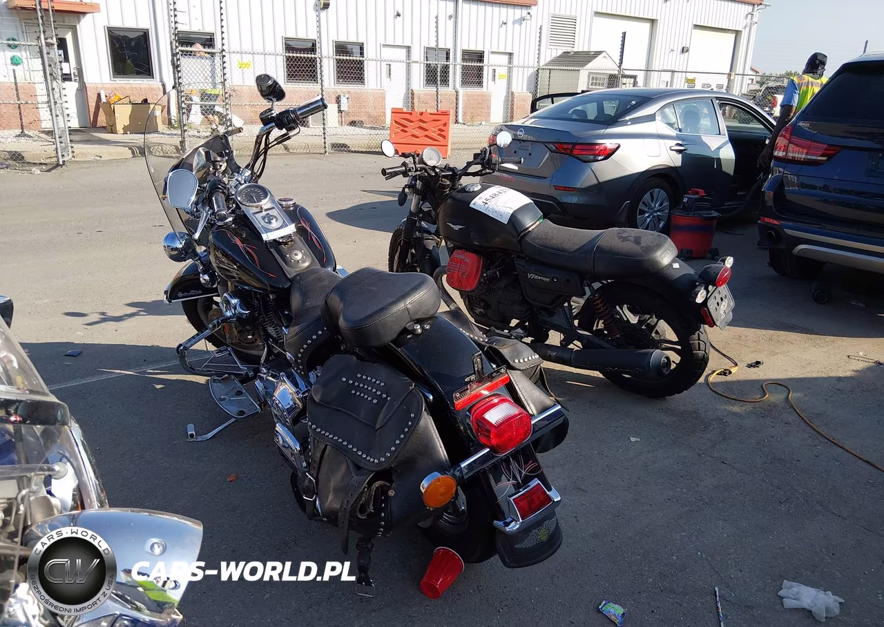 2006 Harley-Davidson Flstci VIN:1HD1BWB186Y010274 - 3