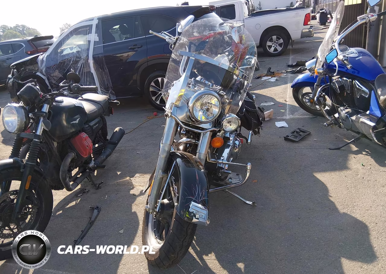 2006 Harley-Davidson Flstci VIN:1HD1BWB186Y010274 - 5