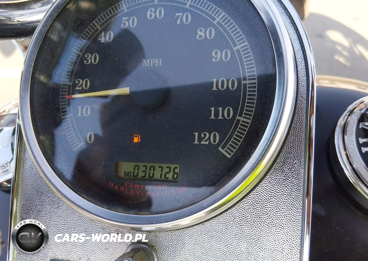 2006 Harley-Davidson Flstci VIN:1HD1BWB186Y010274 - 7