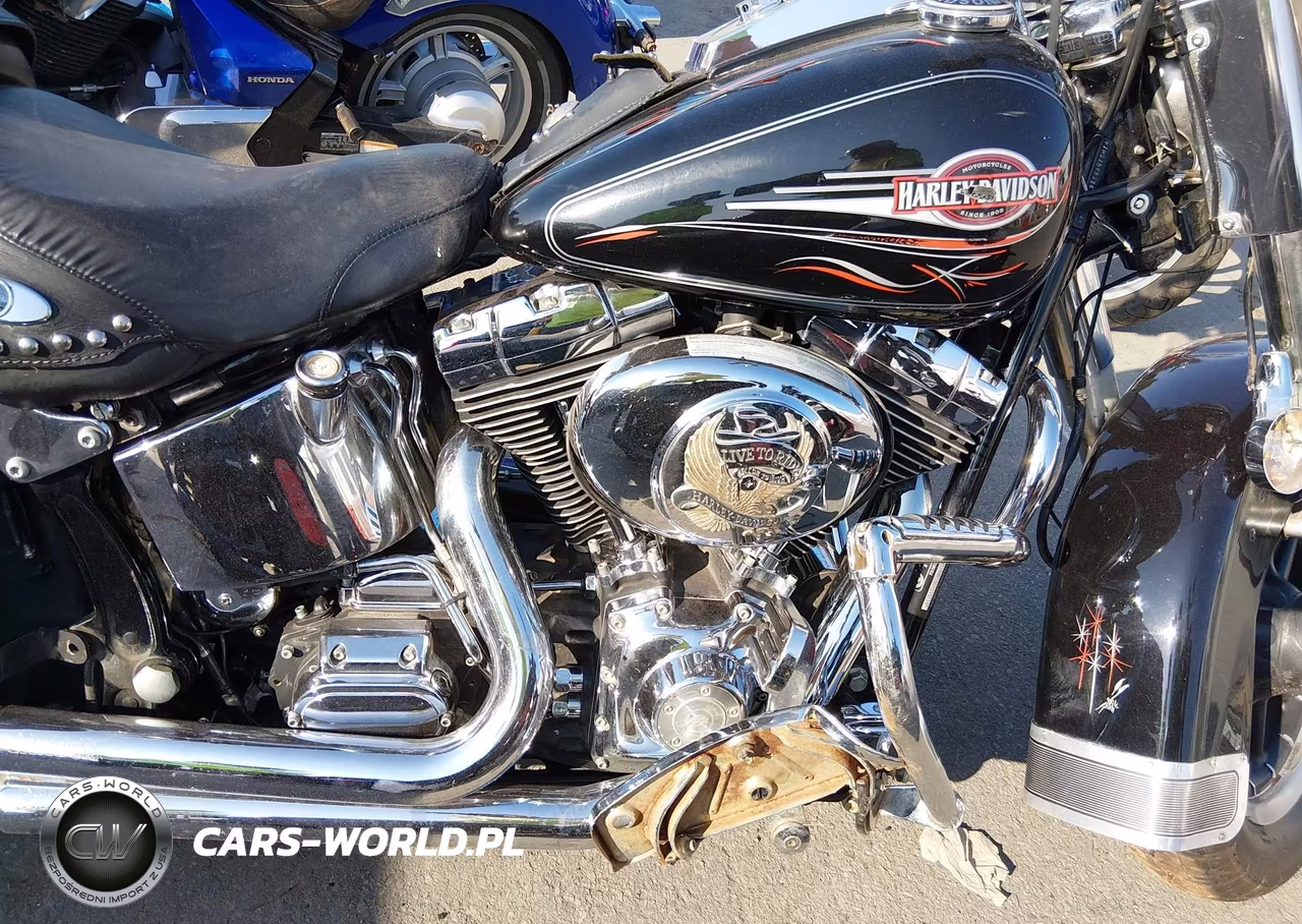 2006 Harley-Davidson Flstci VIN:1HD1BWB186Y010274 - 8