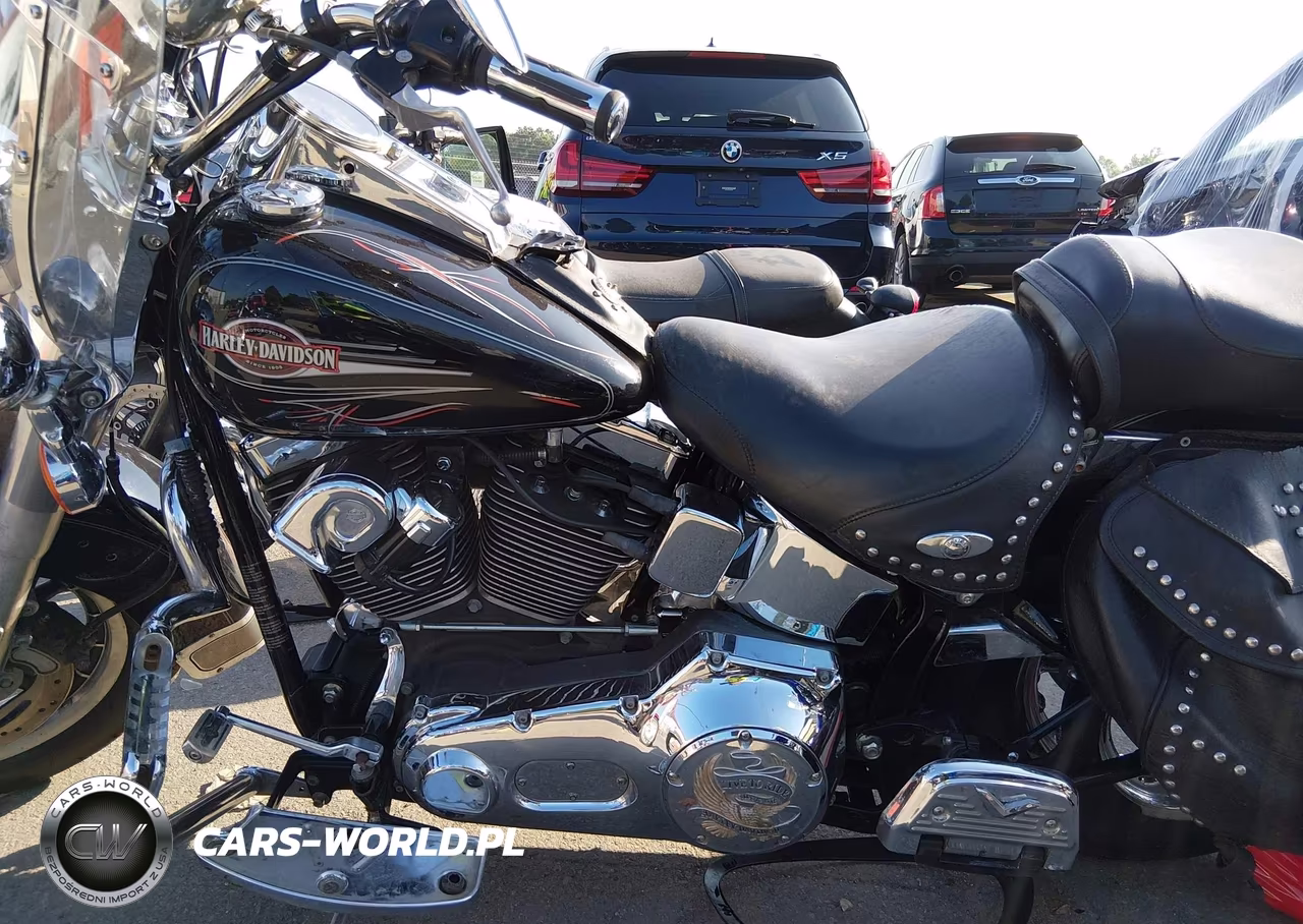 2006 Harley-Davidson Flstci VIN:1HD1BWB186Y010274 - 9