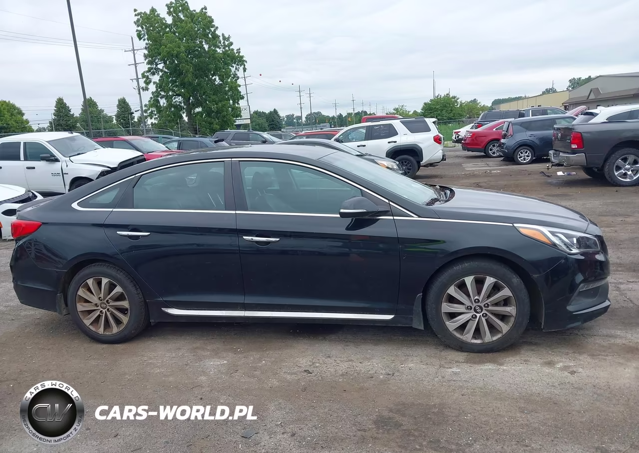 2016 Hyundai Sonata Sport VIN:5NPE34AF8GH414020 - 13