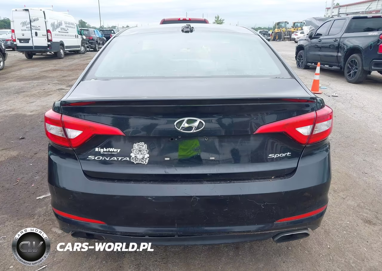 2016 Hyundai Sonata Sport VIN:5NPE34AF8GH414020 - 16