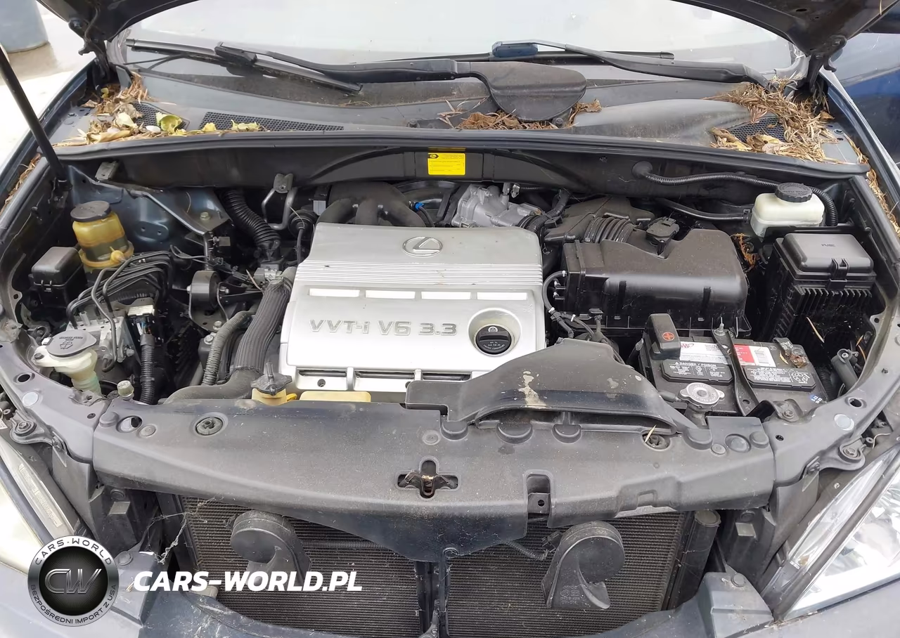 2005 Lexus Rx 330 VIN:2T2HA31U95C079714 - 10