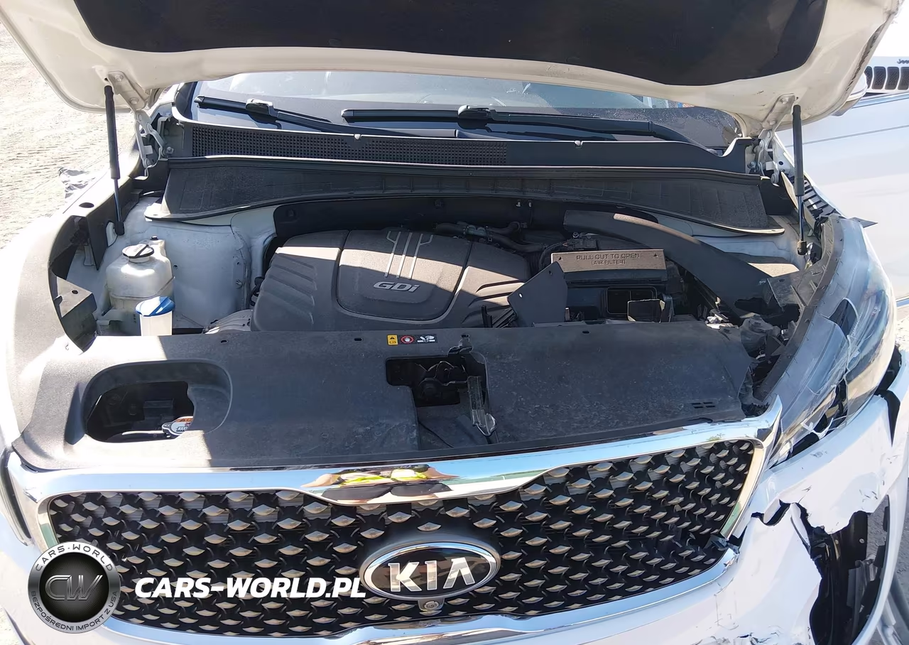 2017 Kia Sorento 3.3L Sxl VIN:5XYPKDA56HG231856 - 10