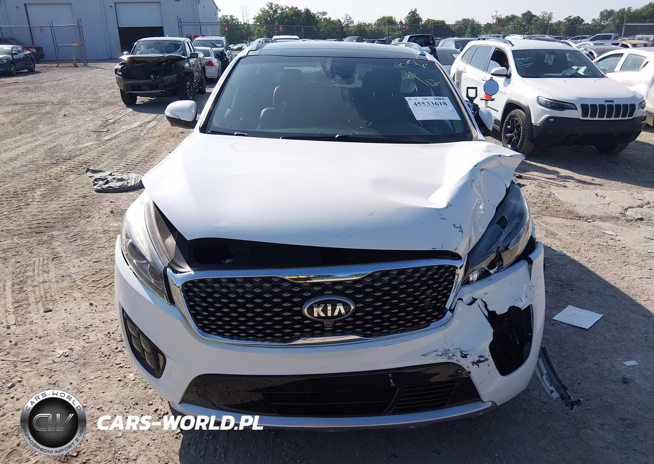 2017 Kia Sorento 3.3L Sxl VIN:5XYPKDA56HG231856 - 12