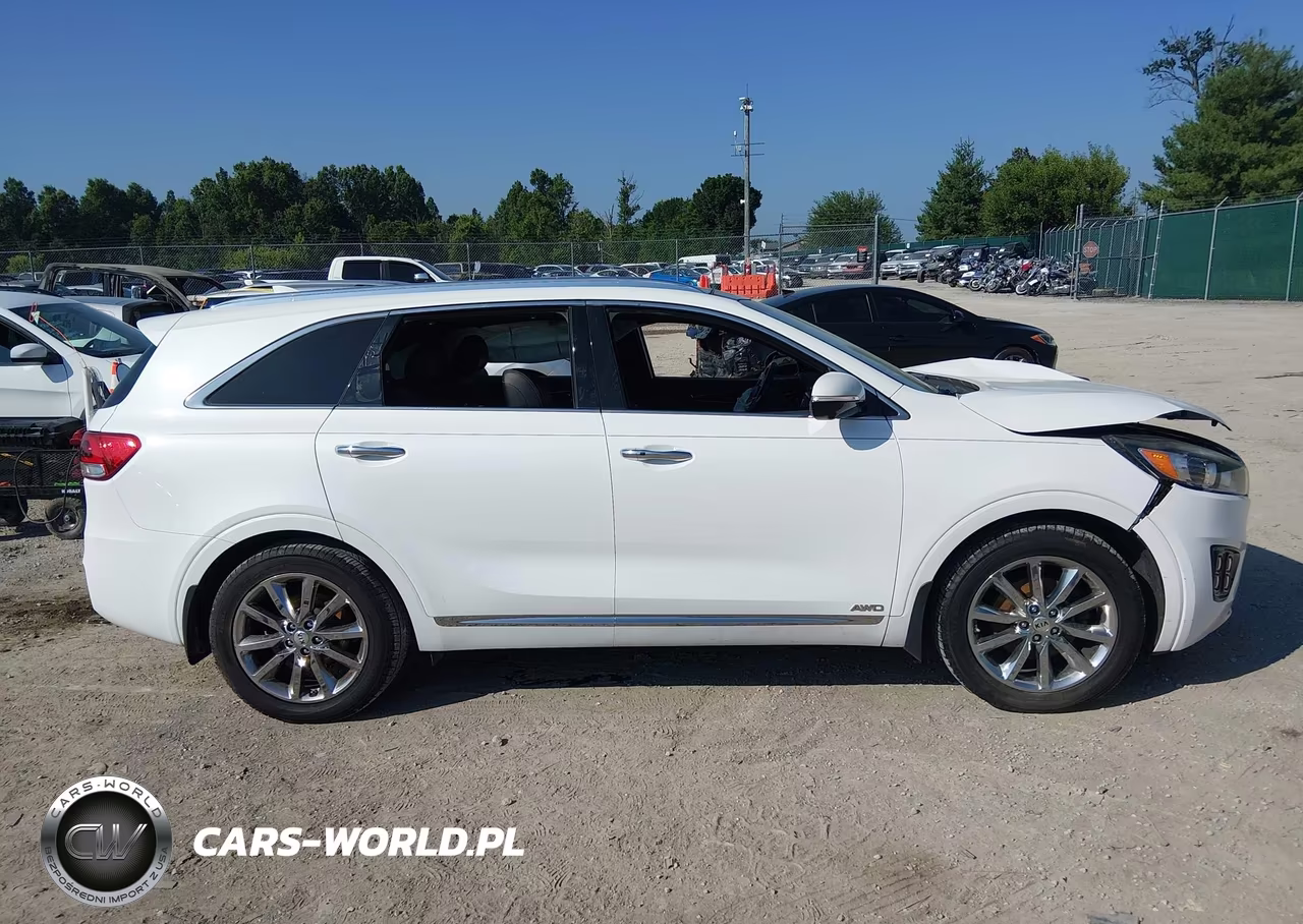 2017 Kia Sorento 3.3L Sxl VIN:5XYPKDA56HG231856 - 13