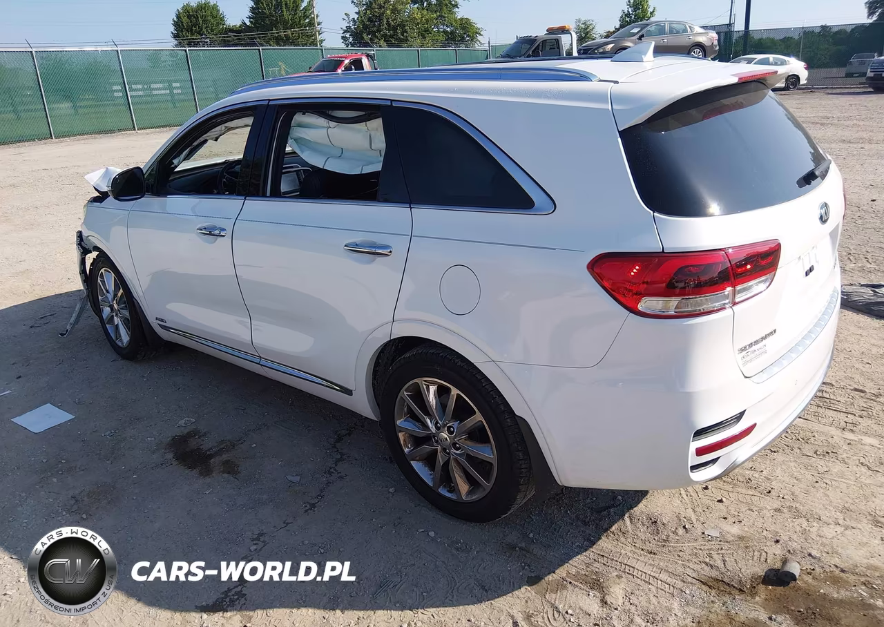 2017 Kia Sorento 3.3L Sxl VIN:5XYPKDA56HG231856 - 3
