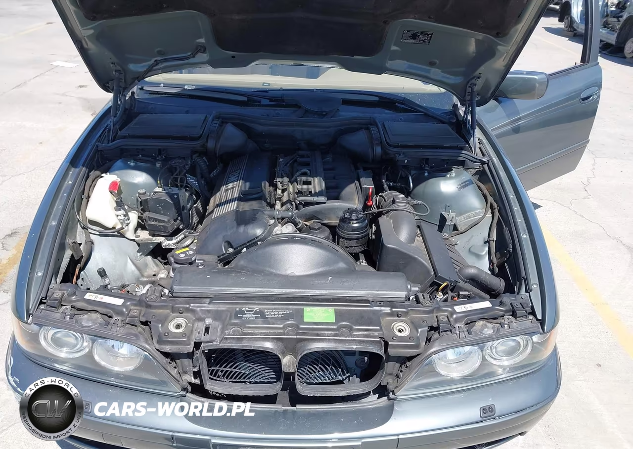 2003 BMW 5 Series 530Ia VIN:WBADT63473CK38163 - 10
