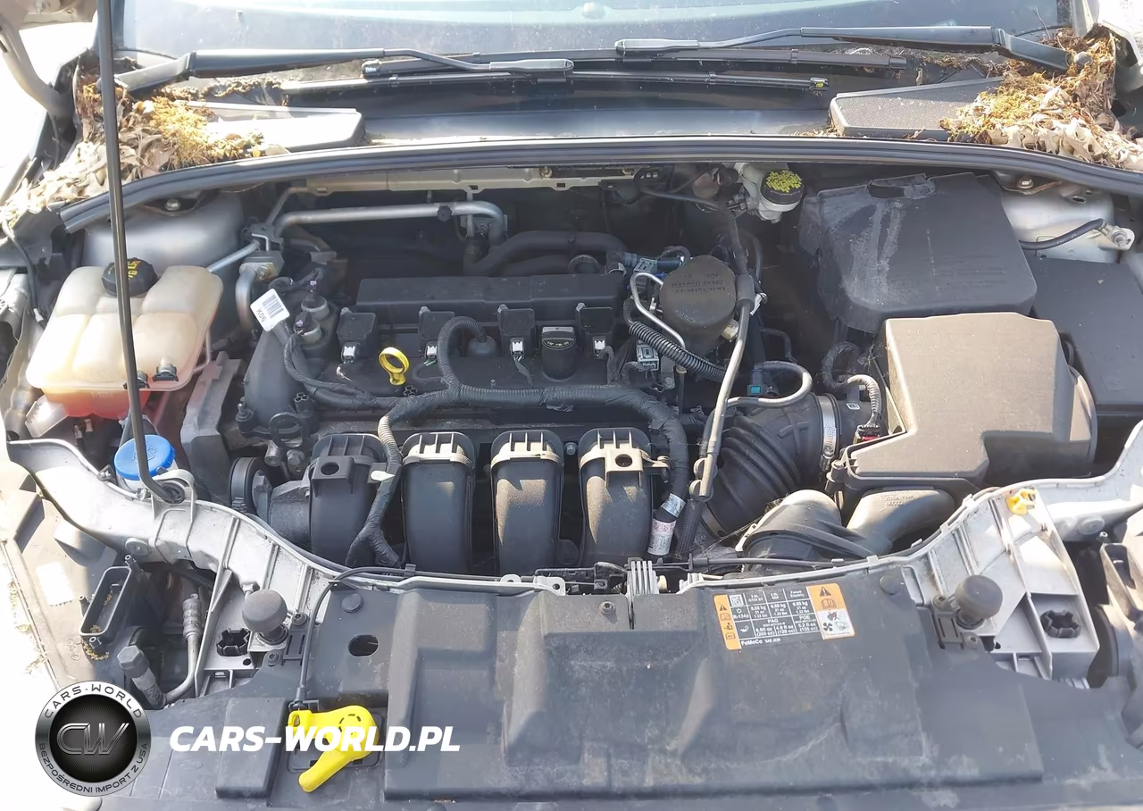 2016 Ford Focus Se VIN:1FADP3K29GL248419 - 10