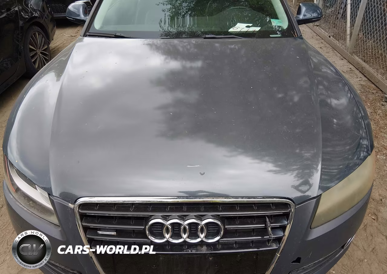 2009 Audi A5 3.2L VIN:WAUDK78T49A013857 - 10