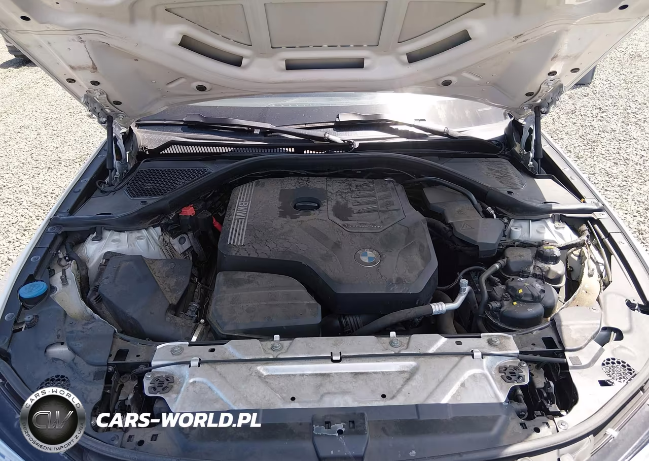 2019 BMW 330I xDrive VIN:WBA5R7C57KAJ84875 - 10