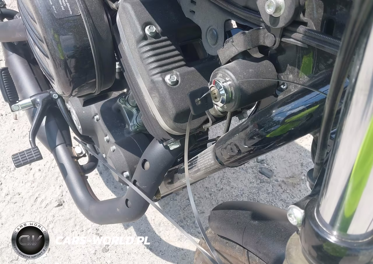 2020 Harley-Davidson Xl883 N VIN:1HD4LE216LB433177 - 11