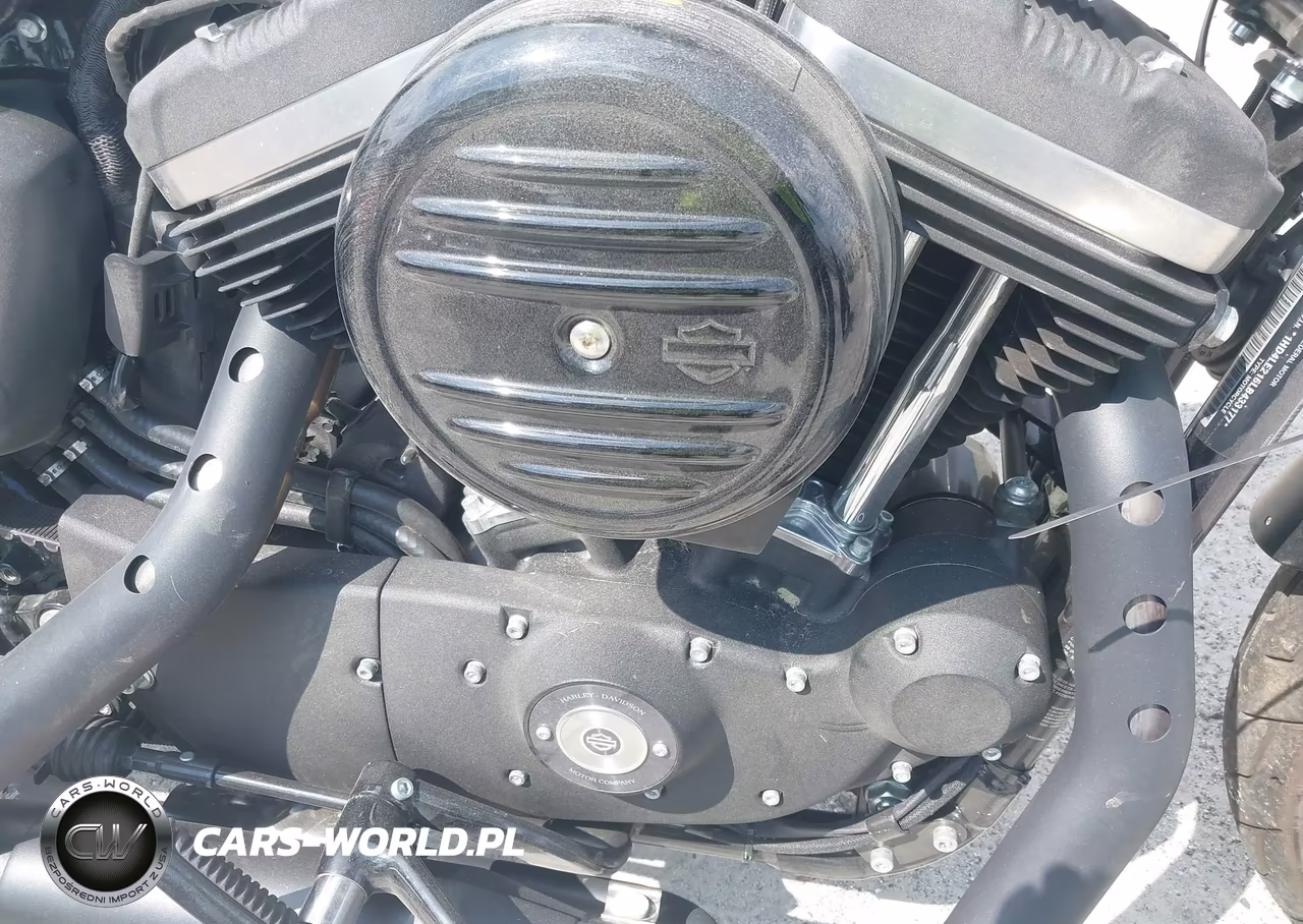 2020 Harley-Davidson Xl883 N VIN:1HD4LE216LB433177 - 8