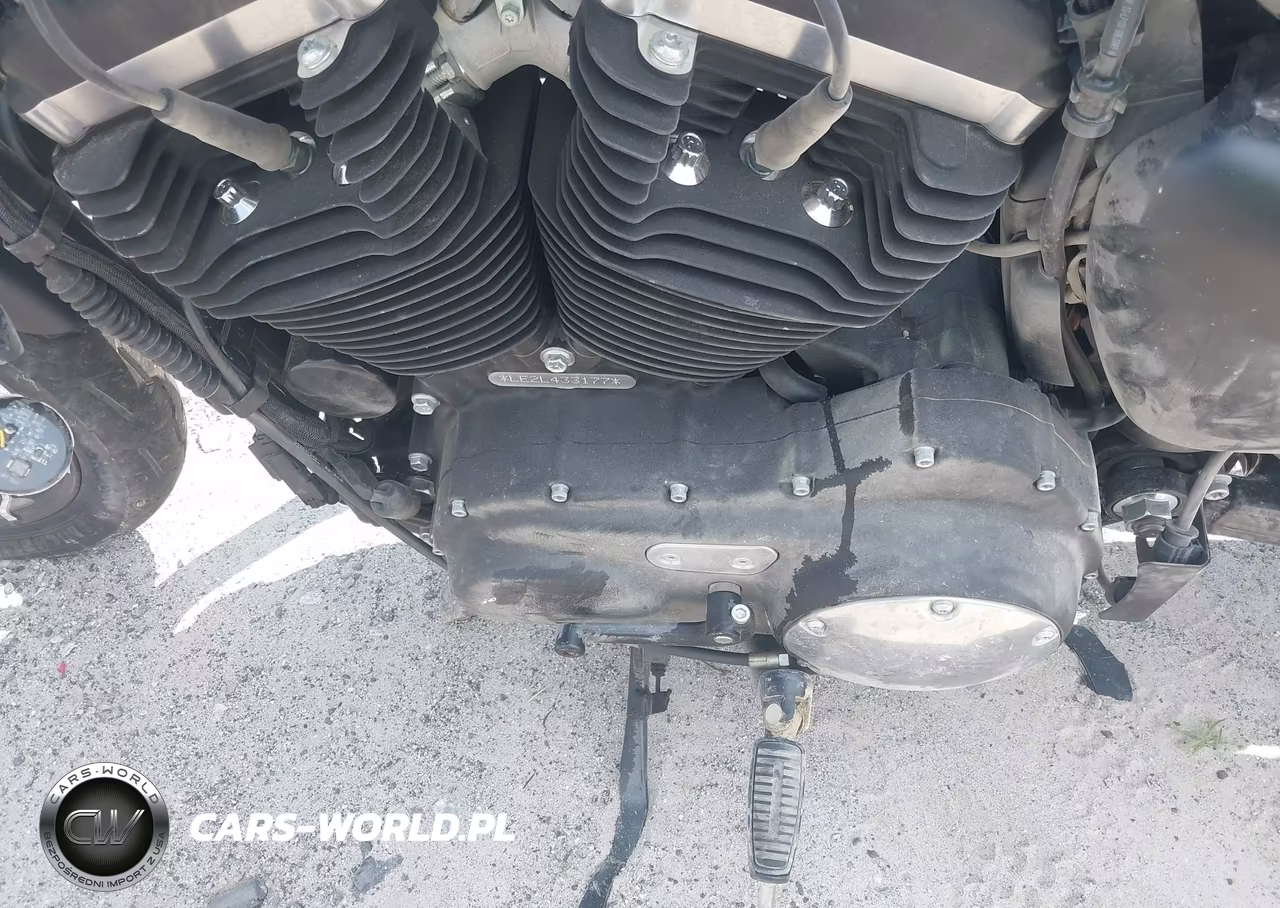 2020 Harley-Davidson Xl883 N VIN:1HD4LE216LB433177 - 9