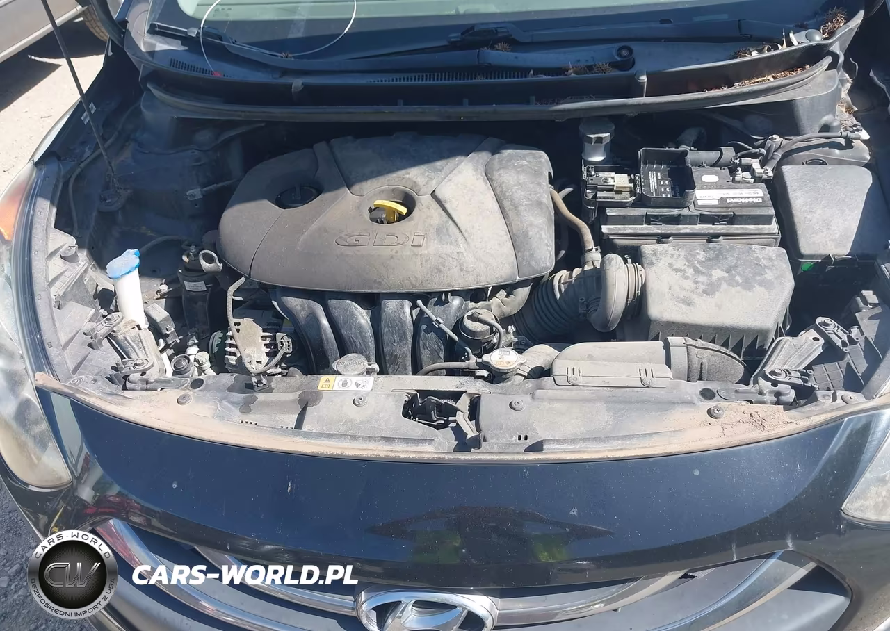 2014 Hyundai Elantra Gt VIN:KMHD35LH3EU201622 - 10