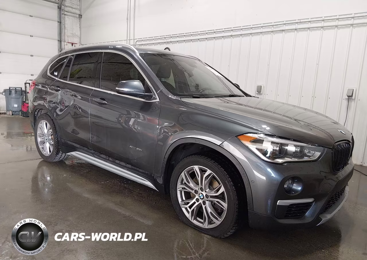 2017 BMW X1 xDrive28I – zdjęcie 1 z 16