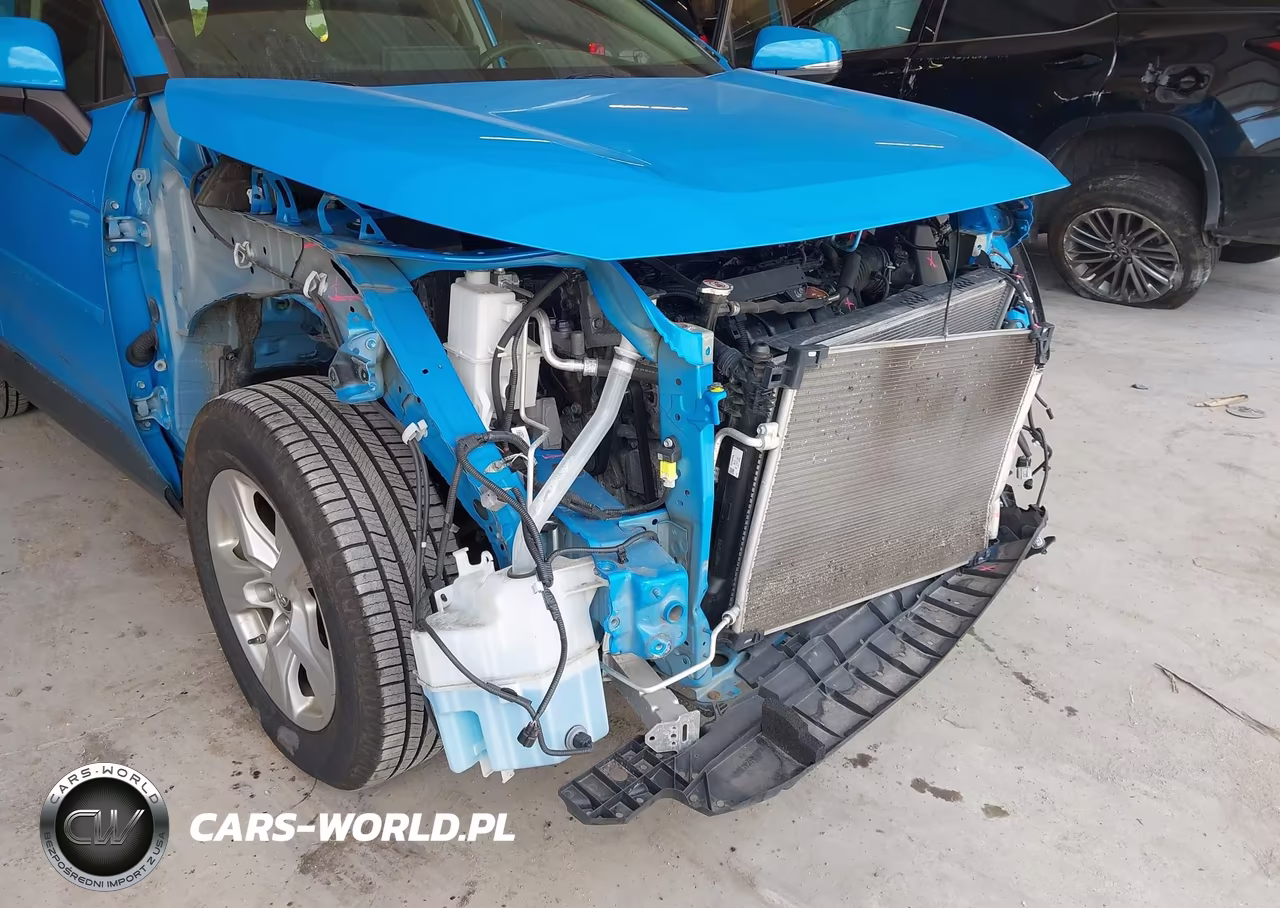 2019 Toyota Rav4 Xle VIN:JTMP1RFV3KD017731 - 19