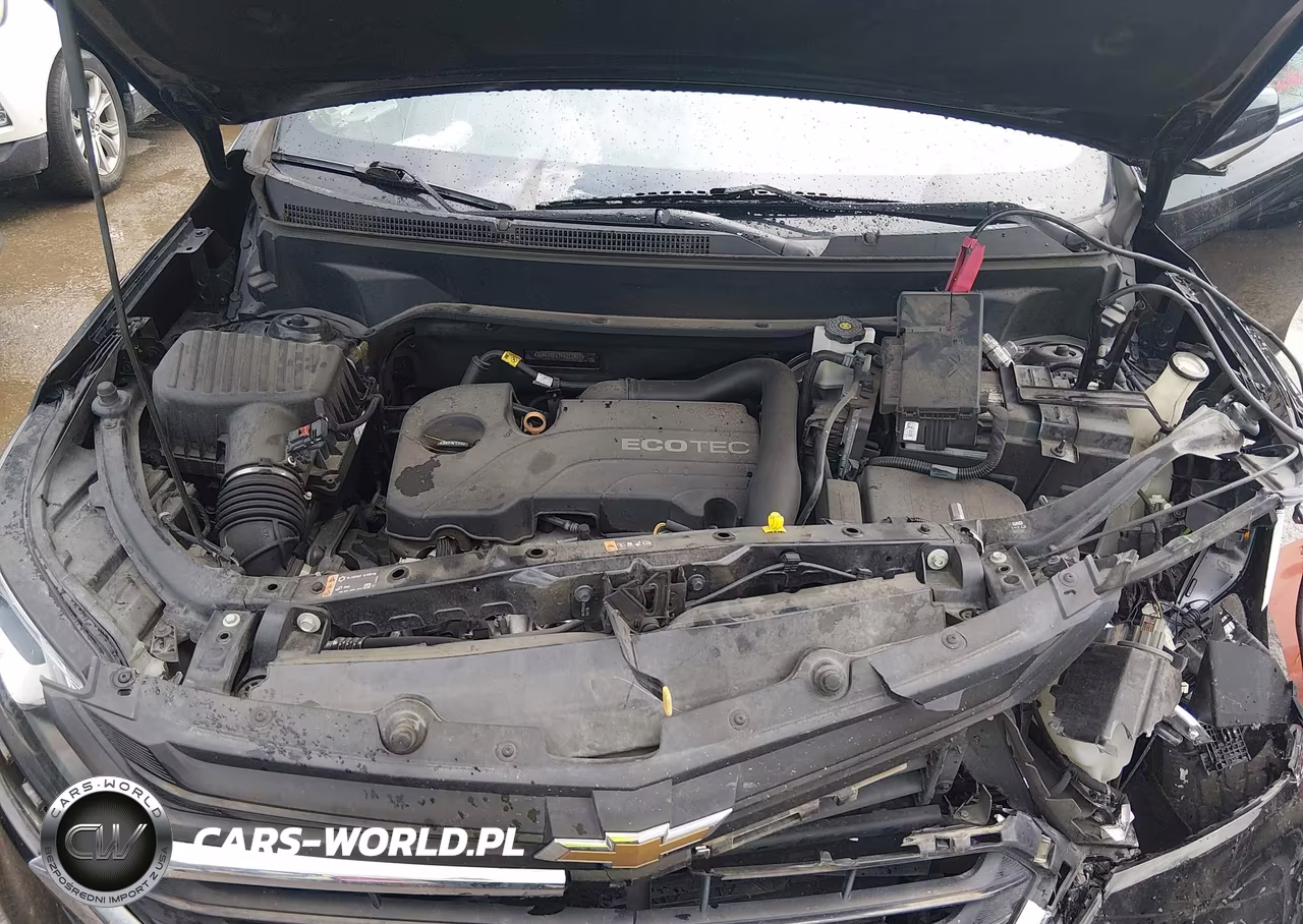 2019 Chevrolet Equinox Lt VIN:2GNAXJEV1K6212417 - 10