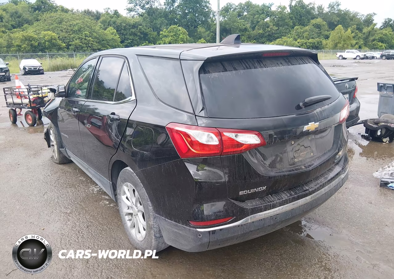 2019 Chevrolet Equinox Lt VIN:2GNAXJEV1K6212417 - 3