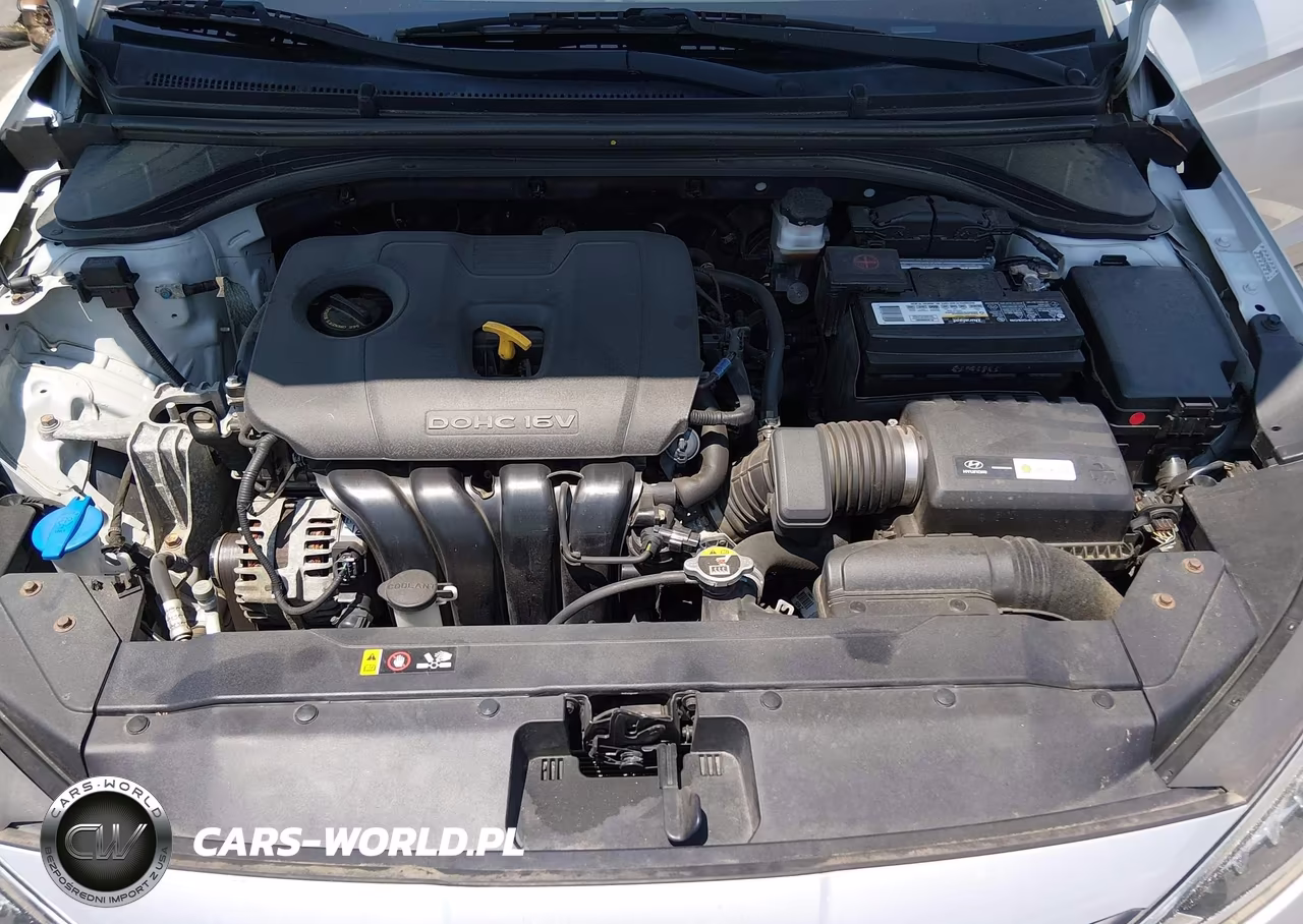 2019 Hyundai Elantra Sel VIN:KMHD84LF4KU746606 - 10
