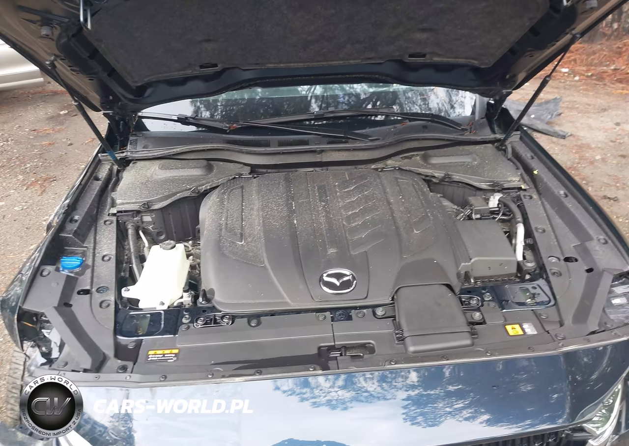 2024 Mazda Cx-90 3.3 Turbo Preferred Plus VIN:JM3KKCHD1R1138043 - 10