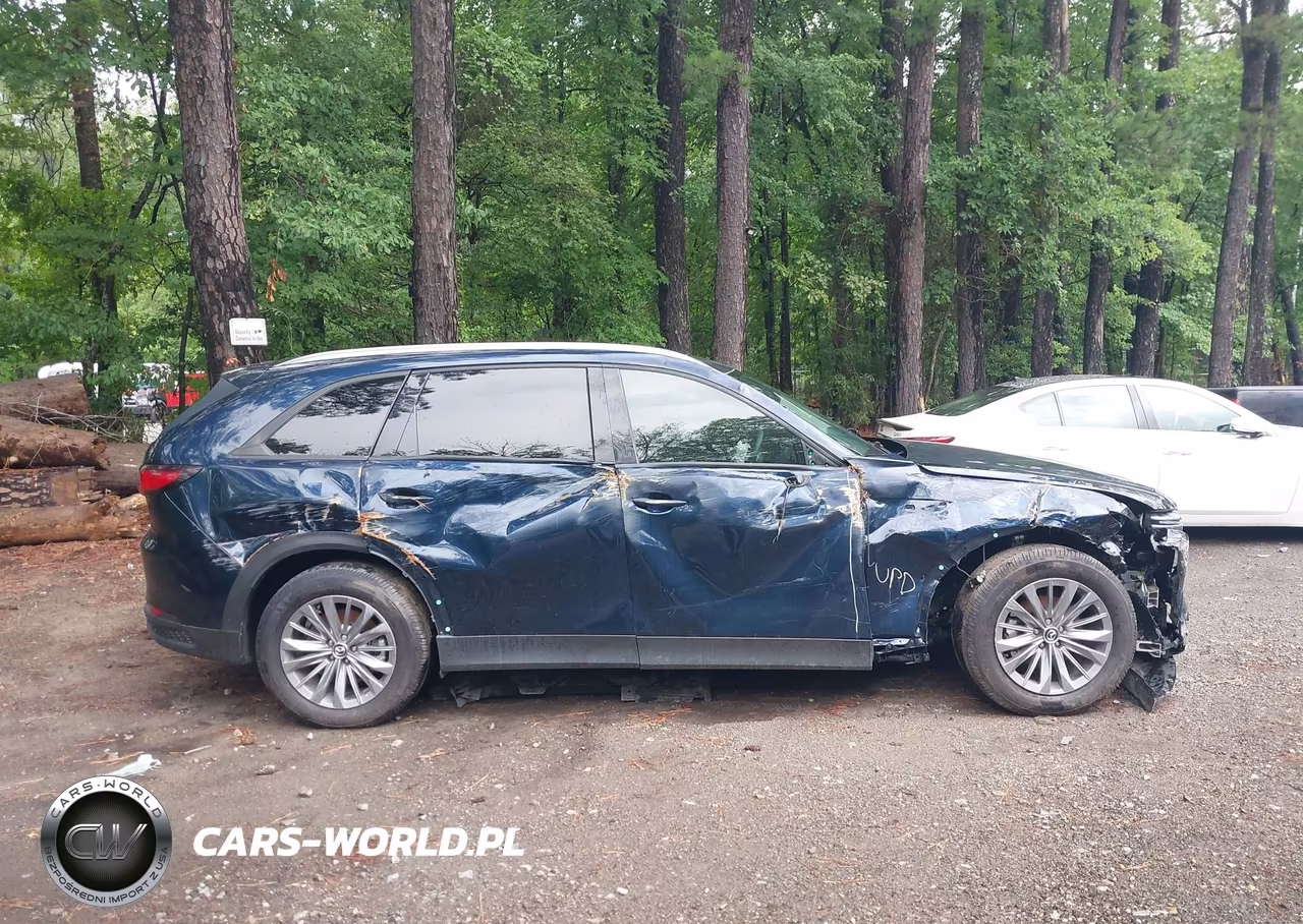 2024 Mazda Cx-90 3.3 Turbo Preferred Plus VIN:JM3KKCHD1R1138043 - 13