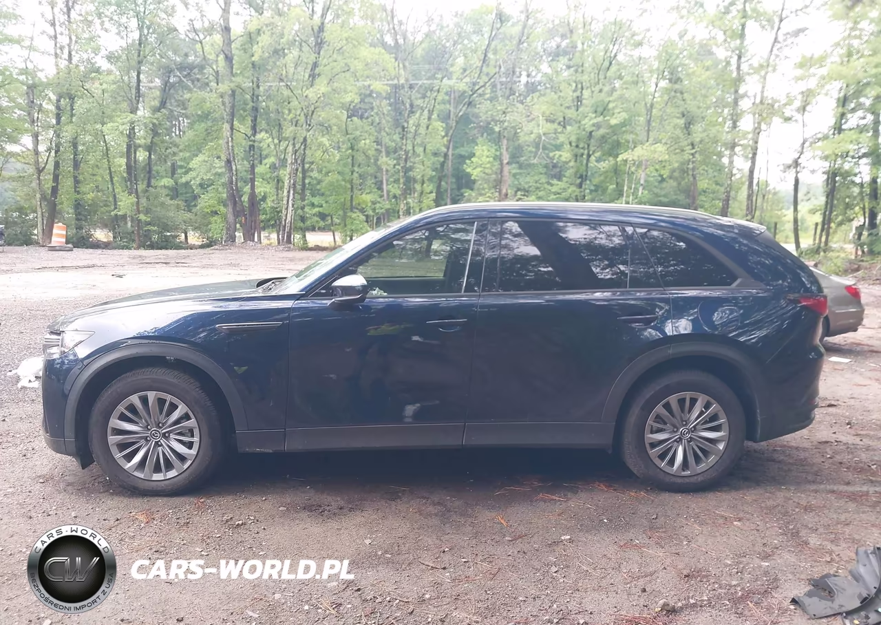 2024 Mazda Cx-90 3.3 Turbo Preferred Plus VIN:JM3KKCHD1R1138043 - 14