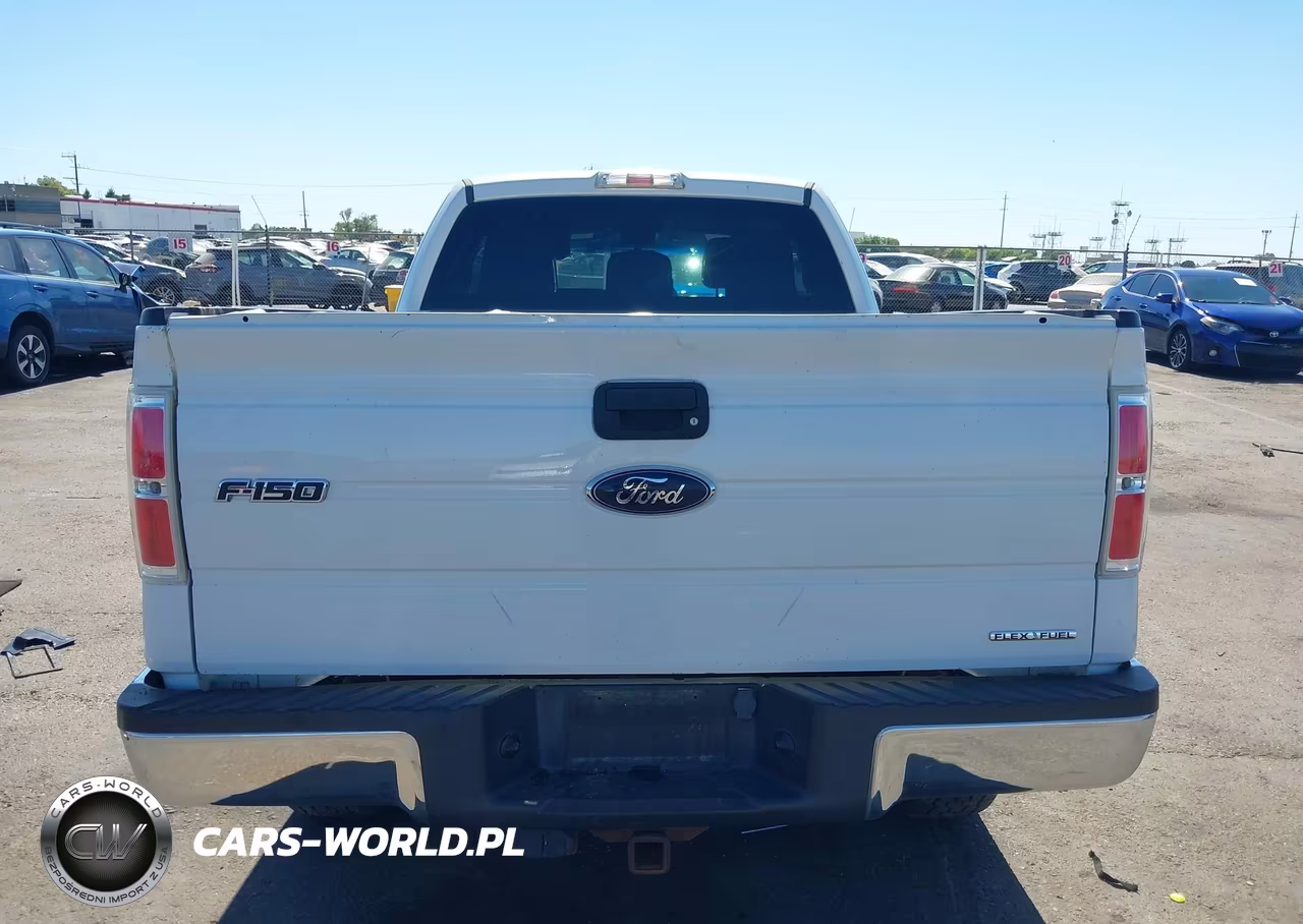2012 Ford F-150 Fx4-Lariat-Stx-Xl-Xlt VIN:1FTFX1EF1CFC59736 - 16