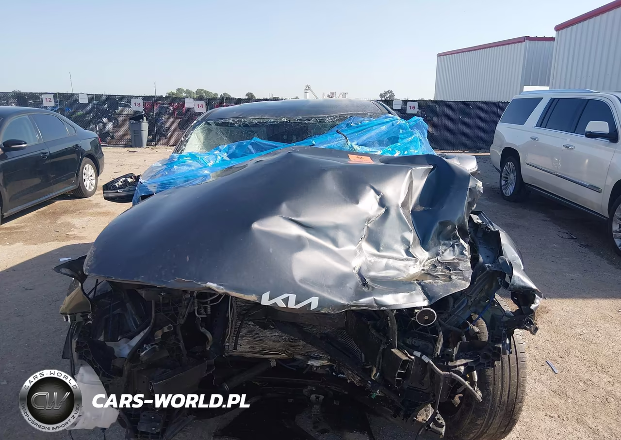 2023 Kia Sportage Ex VIN:5XYK33AF6PG131281 - 11