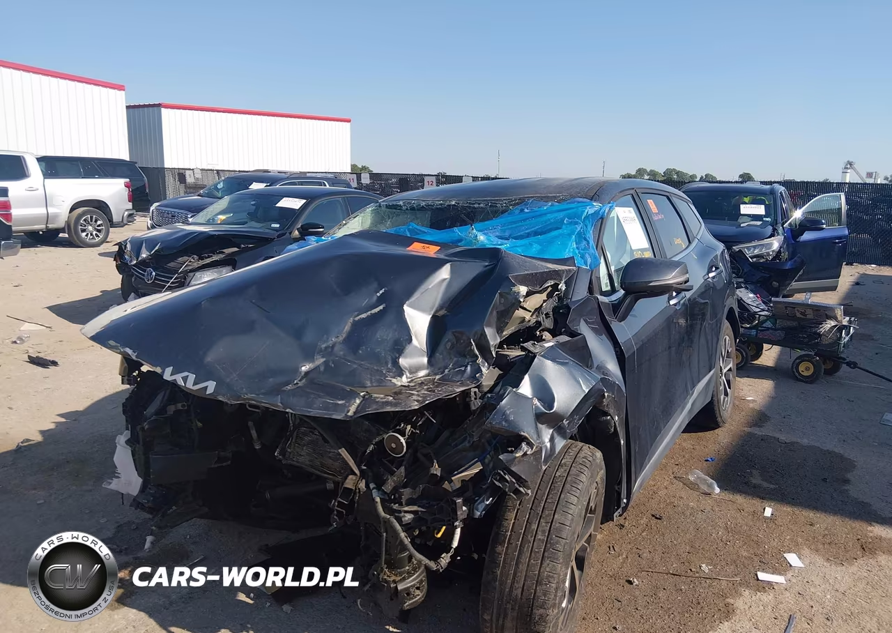 2023 Kia Sportage Ex VIN:5XYK33AF6PG131281 - 2