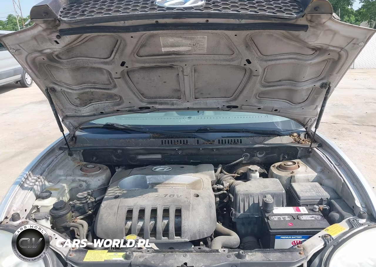 2004 Hyundai Santa Fe VIN:KM8SB12B14U657892 - 10